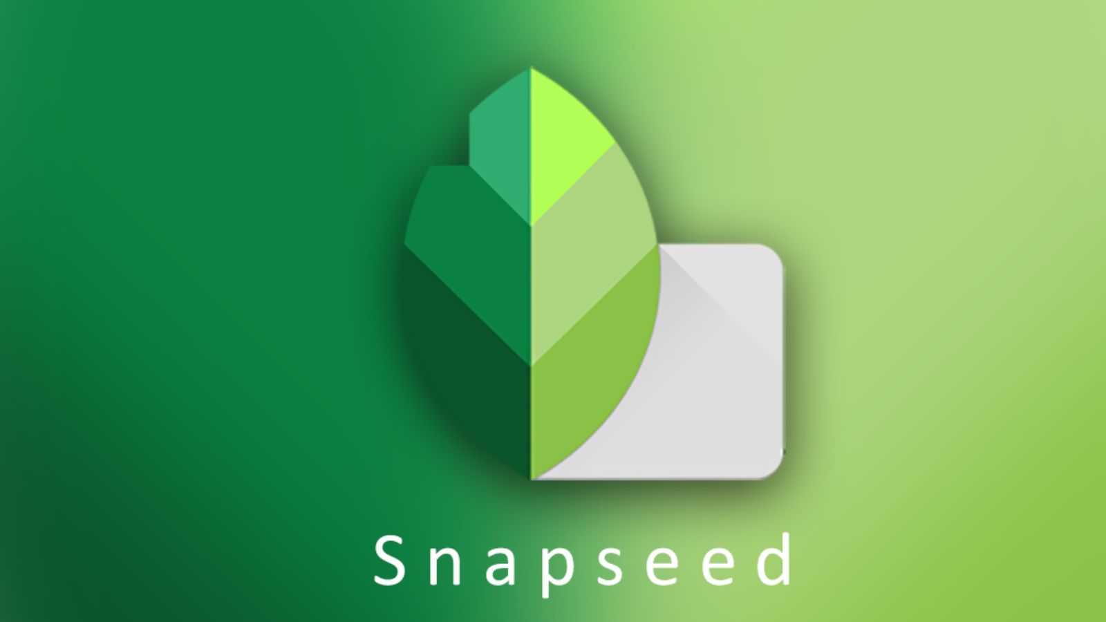 Yeşil degrade zemin üzerinde Snapseed uygulamasının yaprak biçimli logosu.